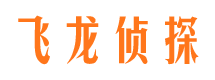 陵县市私家侦探